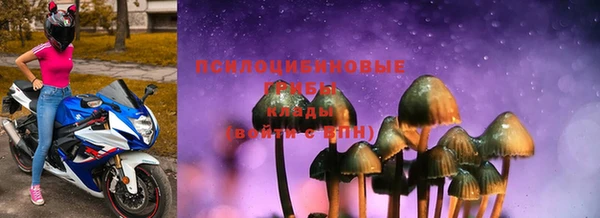 ГАЛЛЮЦИНОГЕННЫЕ ГРИБЫ Алексин