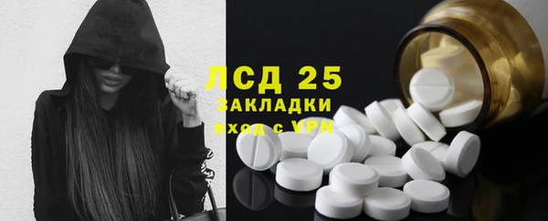ГАЛЛЮЦИНОГЕННЫЕ ГРИБЫ Алексин