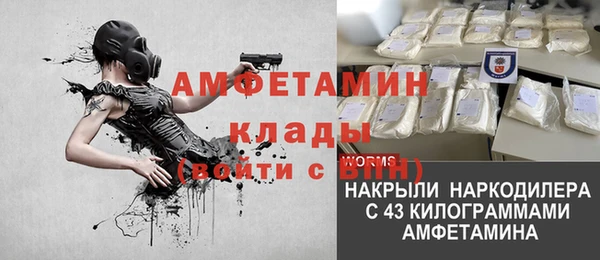 ГАЛЛЮЦИНОГЕННЫЕ ГРИБЫ Алексин